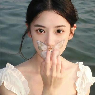 龙虎人生